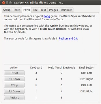 Blinkenlights Demo Application Screenshot: Pong